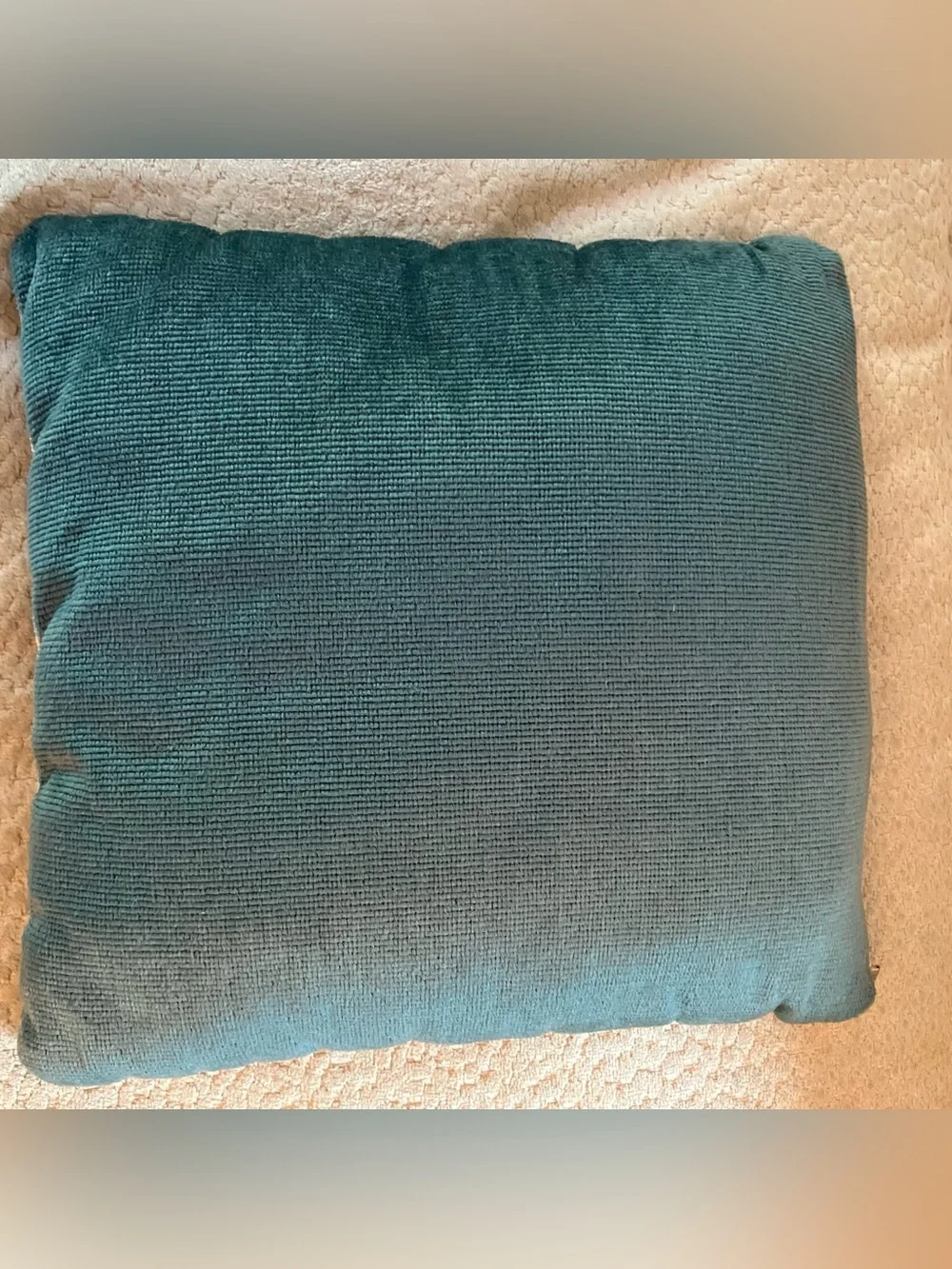 VTG Belgian Tapestry Velvet Throw Pillow Floral Pastel 12in Cottagecore Granny